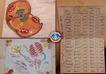 المعرض السنوي لمادة العلوم الطبيعية والحياة